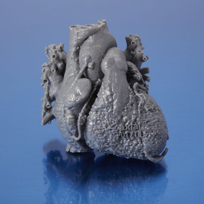 Formlabs Grey v4 Resin - 1L | Dynamism